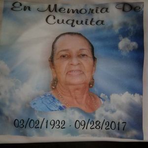 Meet your Posher, Lucy